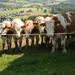 Holiday home Reisinger Promschhof *