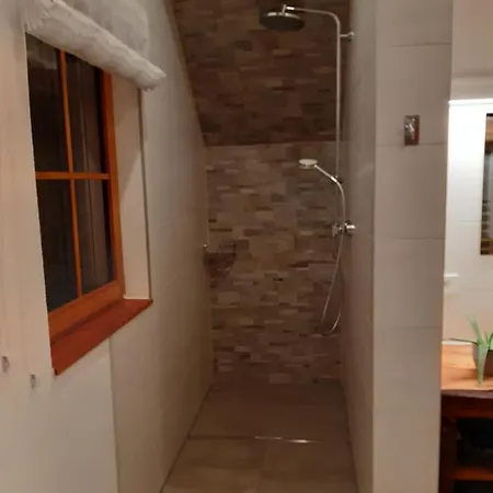 Prázdninový dům Reisinger Promschhof