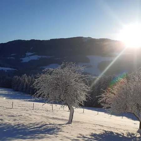 Hébergement de vacances Reisinger Promschhof *