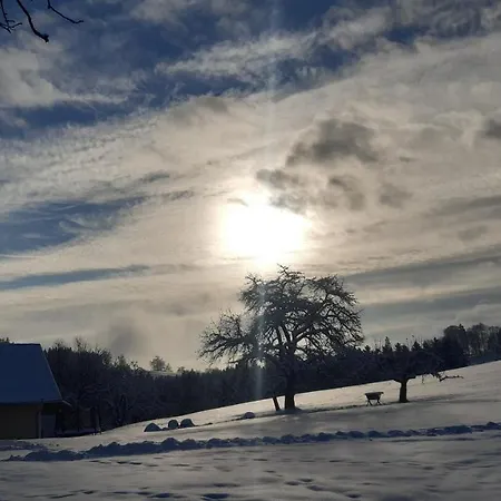 Reisinger Promschhof * Semriach
