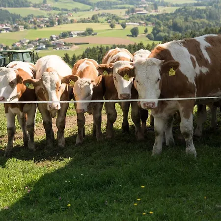 Hébergement de vacances Reisinger Promschhof *