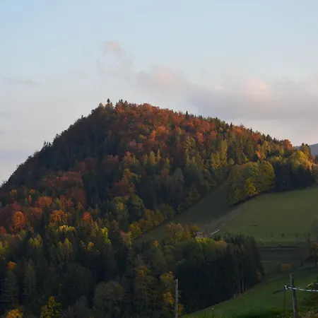 Reisinger Promschhof *