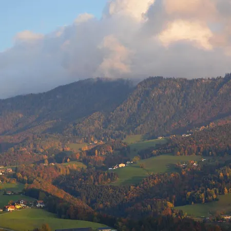 Reisinger Promschhof