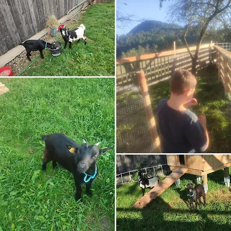 Reisinger Promschhof بيت للعطل