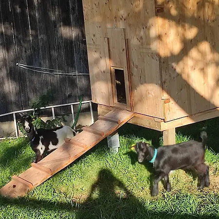 Reisinger Promschhof * Semriach