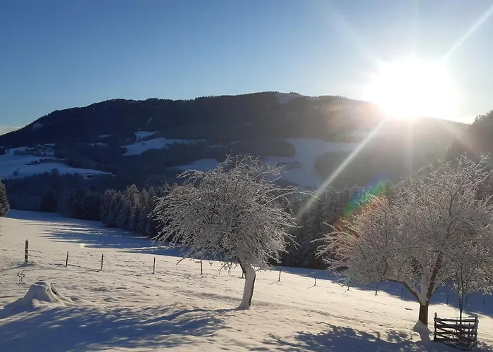 Casa vacanze Reisinger Promschhof *