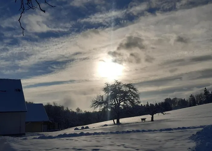Reisinger Promschhof * Semriach
