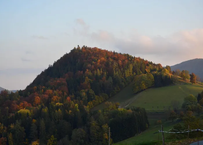 Reisinger Promschhof *