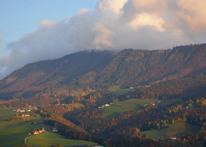 Reisinger Promschhof