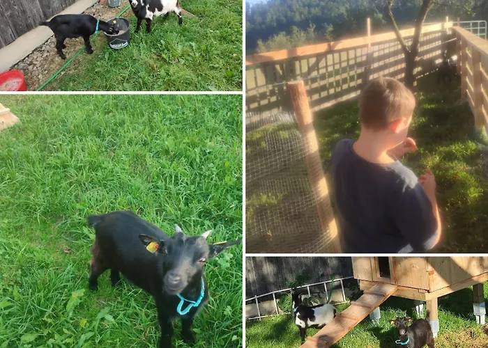 Reisinger Promschhof بيت للعطل