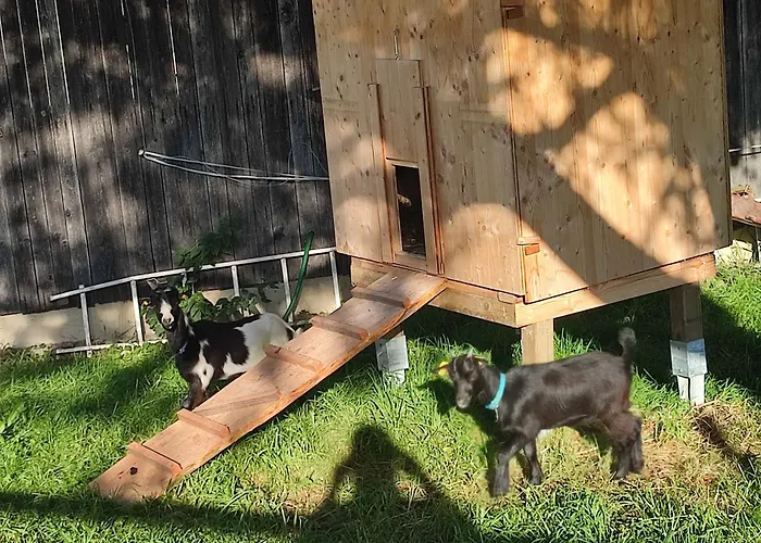 Reisinger Promschhof * Semriach